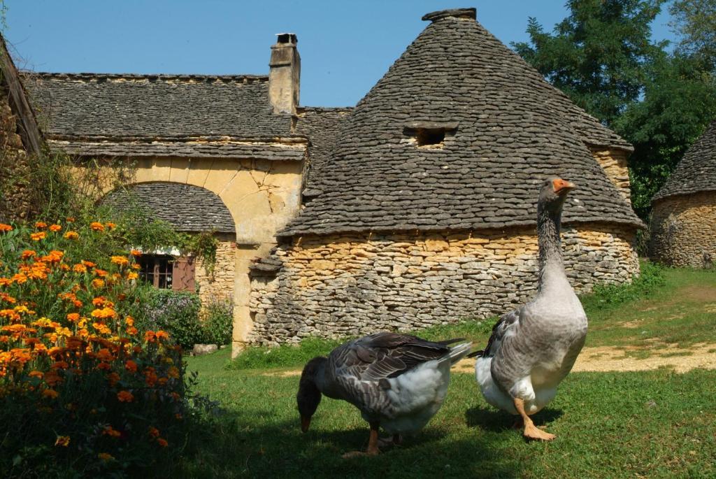 Madame Vacances - Residence Du Golf D'Armagnac Eauze Cameră foto